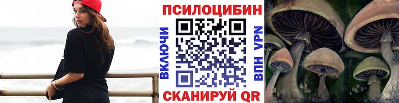 Псилоцибиновые грибы GOLDEN TEACHER  купить   Калязин 